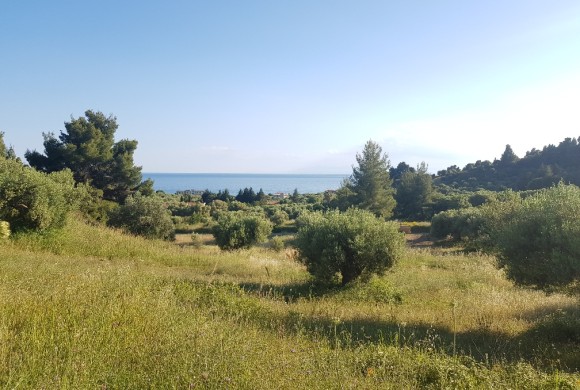 Land for sale in Chalkidiki