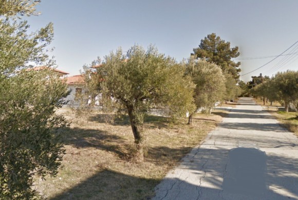 Land for sale in Chalkidiki