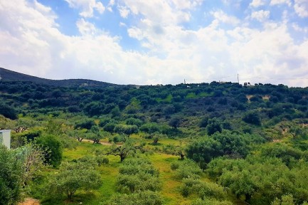 Land for sale in 