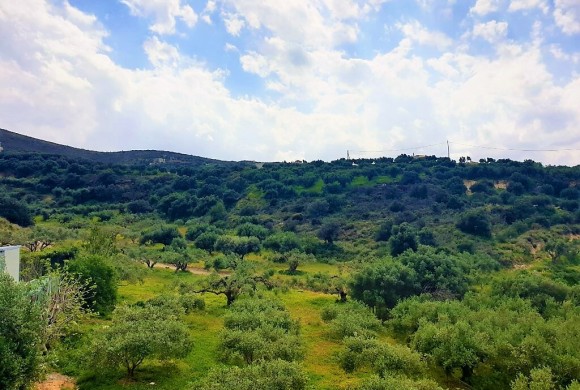 Land for sale in Heraklion Prefecture