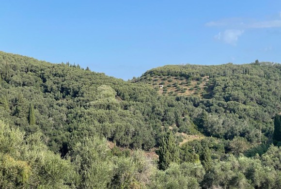 Land for sale in Corfu Prefecture