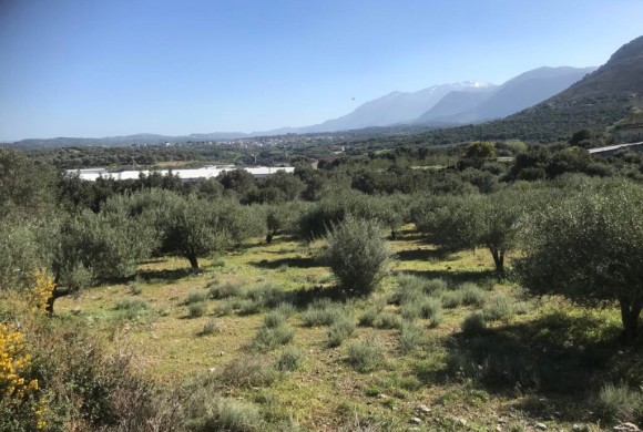 Land for sale in Heraklion Prefecture
