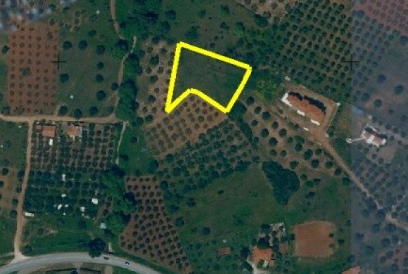 Land for sale in Chalkidiki