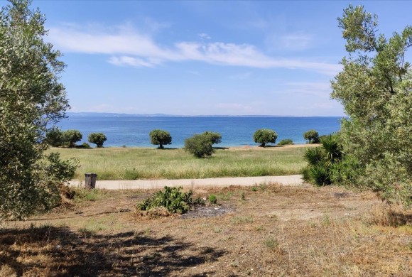 Land for sale in Chalkidiki