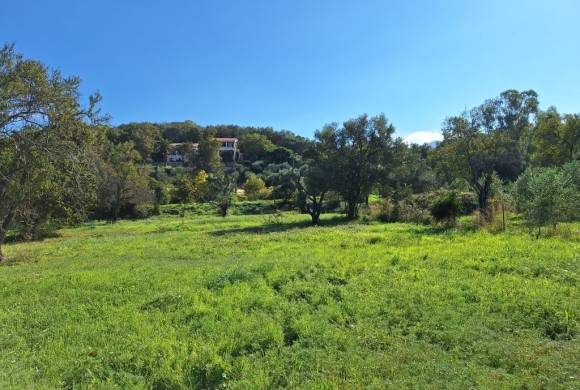 Land for sale in Corfu Prefecture