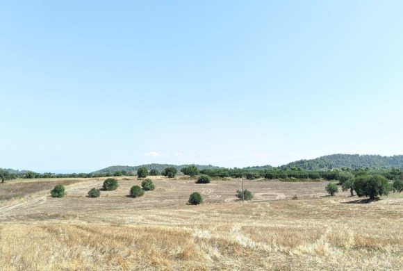 Land for sale in Chalkidiki