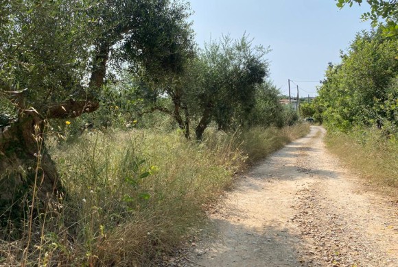 Land for sale in Chania Prefecture