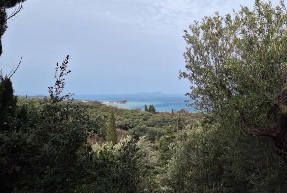 Land for sale in Corfu Prefecture