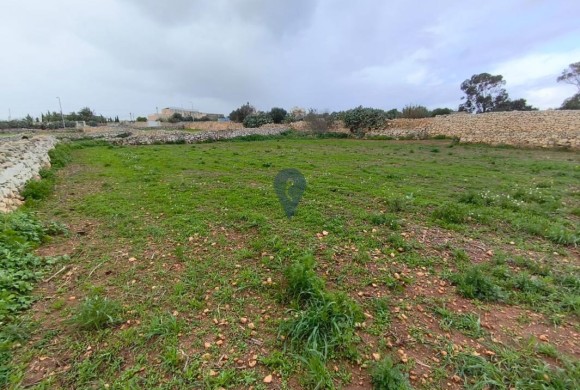 Land for sale in Zejtun