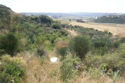 Land for sale in 