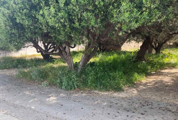 Land for sale in Heraklion Prefecture