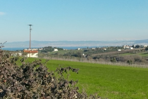 Land for sale in Suburbs