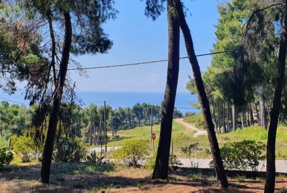 Villa for sale in Chalkidiki