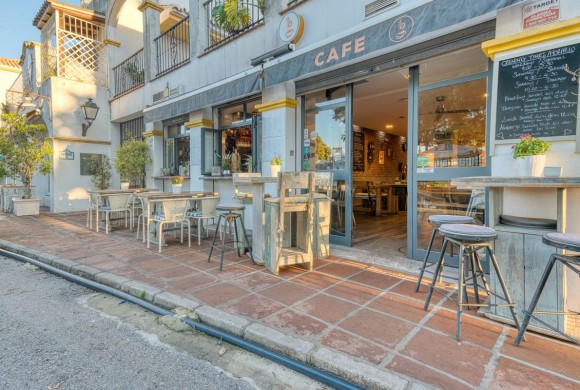 Commercial property for sale in San Pedro de Alcántara