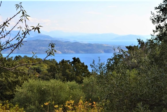 Land for sale in Corfu Prefecture