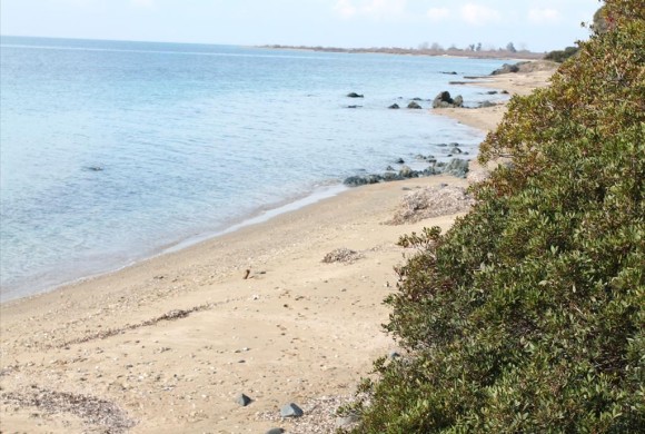 Land for sale in Chalkidiki