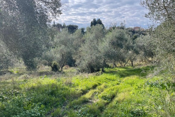 Land for sale in Corfu Prefecture