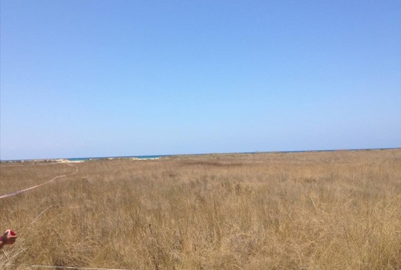 Land for sale in Ilia