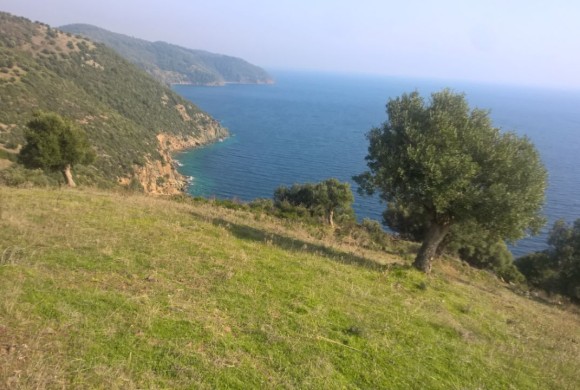 Land for sale in Chalkidiki