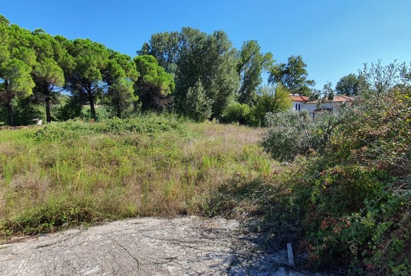 Land for sale in Chalkidiki
