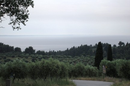 Land for sale in