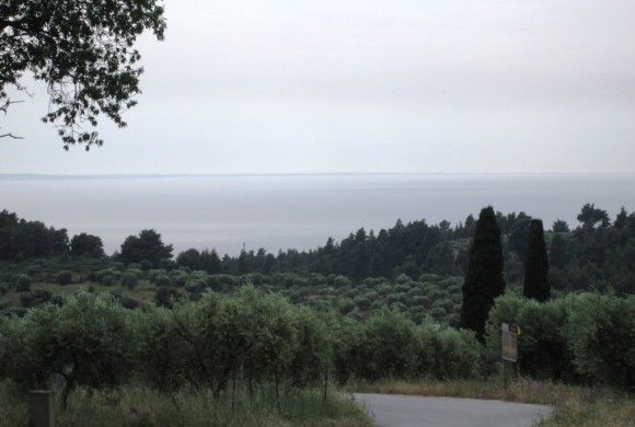 Land for sale in Chalkidiki