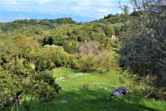 Land for sale in Corfu Prefecture