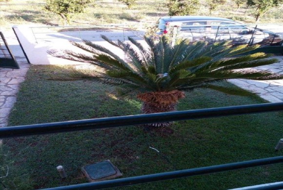 House for sale in Peloponnese