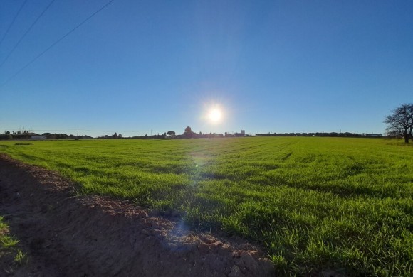 Land for sale in Chalkidiki