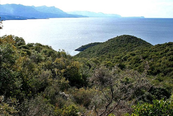 Land for sale in Messinia
