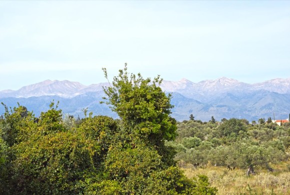 Land for sale in Chania Prefecture