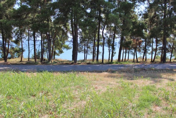 Land for sale in Pieria Prefecture
