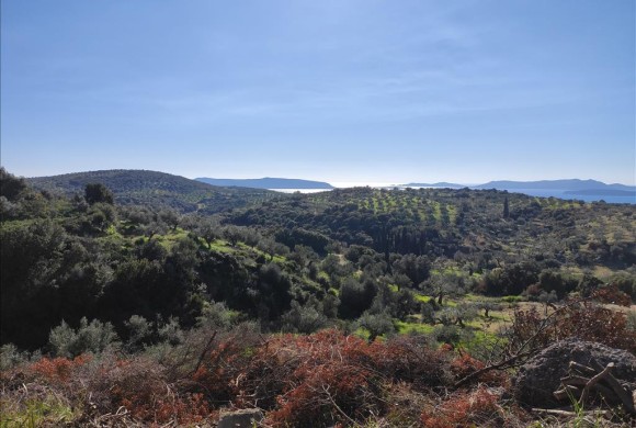 Land for sale in Peloponnese
