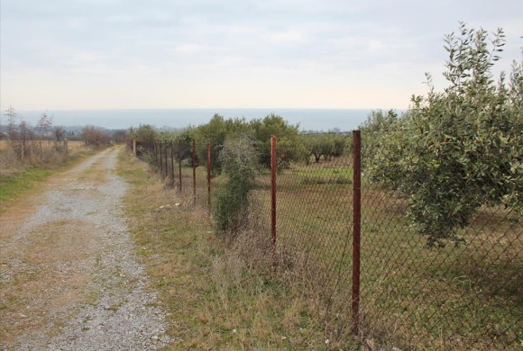Land for sale in Pieria Prefecture