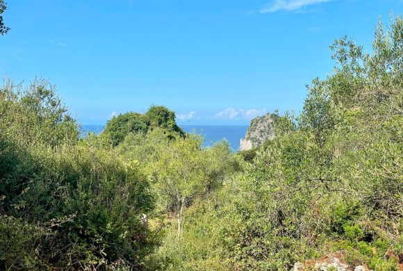 Land for sale in Corfu Prefecture