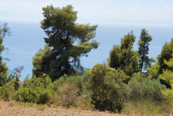 Land for sale in Chalkidiki