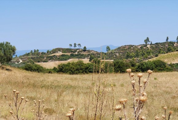 Land for sale in Chalkidiki