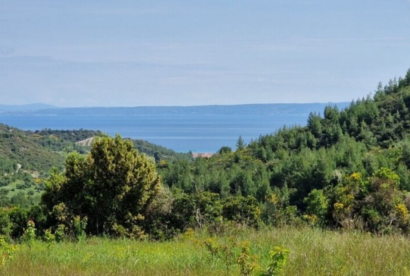 Land for sale in Chalkidiki