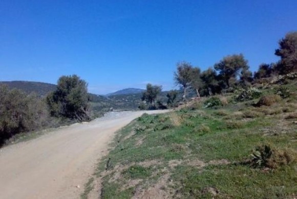 Land for sale in Evia