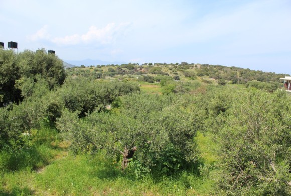 Land for sale in Lasithi Prefecture