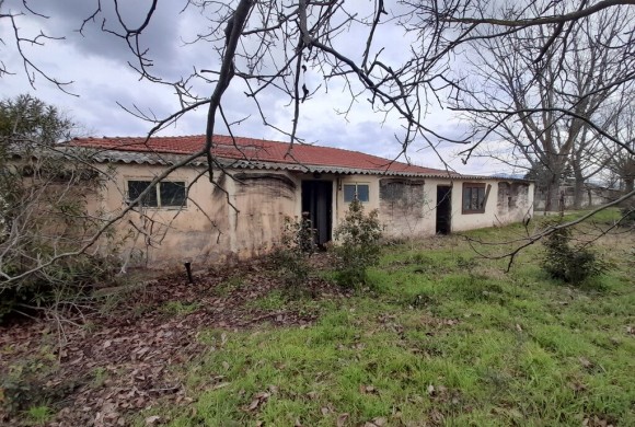 Commercial property for sale in Suburbs