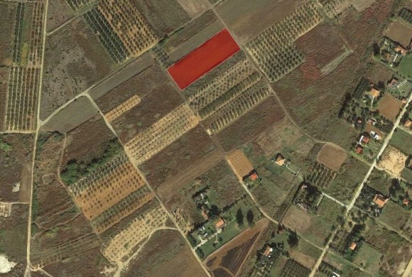 Land for sale in Chalkidiki