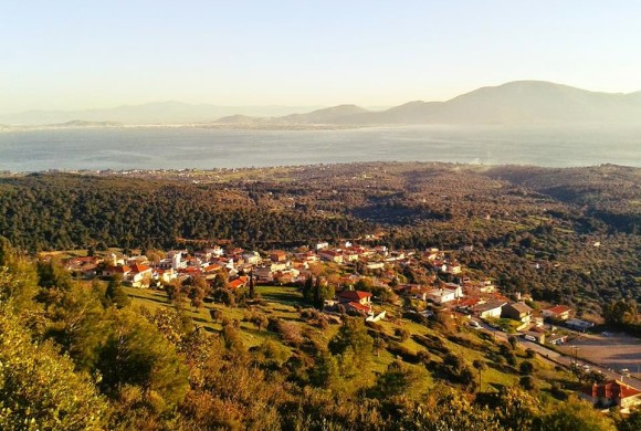 Land for sale in Evia