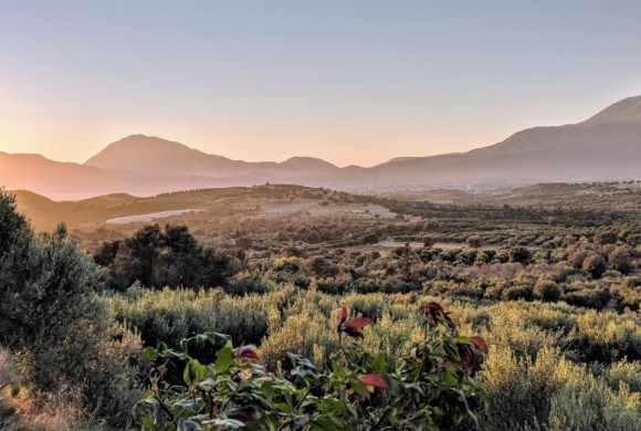 Land for sale in Heraklion Prefecture