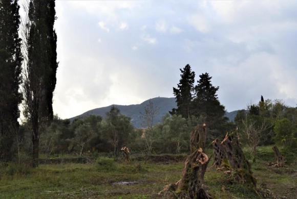 Land for sale in Corfu Prefecture