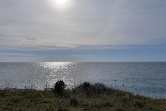 Land for sale in Chalkidiki