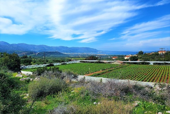 Land for sale in Lasithi Prefecture