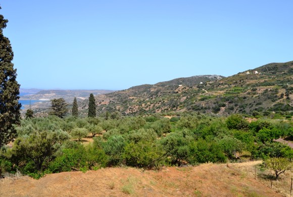 Land for sale in Lasithi Prefecture