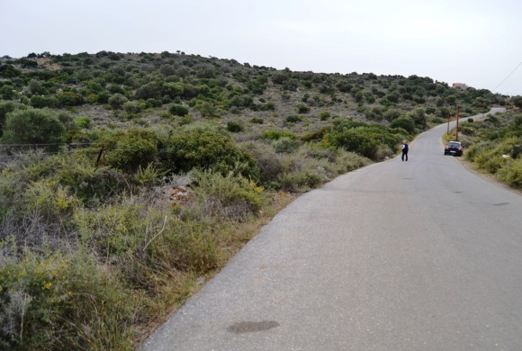 Land for sale in Lasithi Prefecture