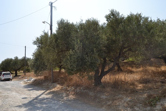 Land for sale in Heraklion Prefecture